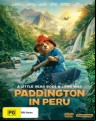Paddington In Peru