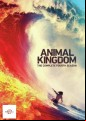Animal Kingdom - Complete Season 4