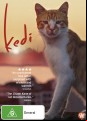 Kedi
