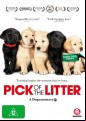 Pick Of The Litter