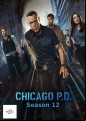 Chicago PD - Complete Season 12