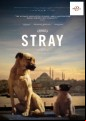 Stray (2020)